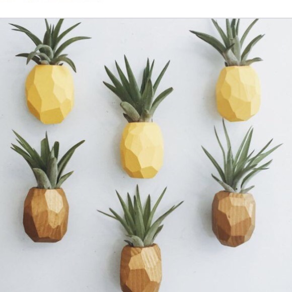 Meet your Posher, Rechelle - Picture 1 of 1